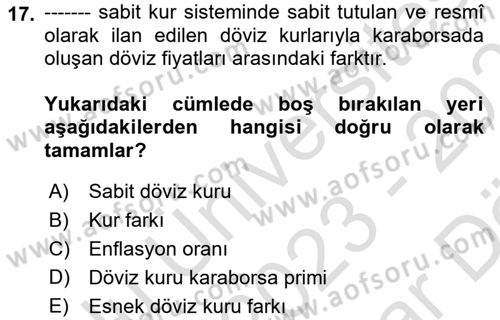 Ekonominin Güncel Sorunları Dersi 2023 - 2024 Yılı (Vize) Ara Sınav Soruları 17. Soru