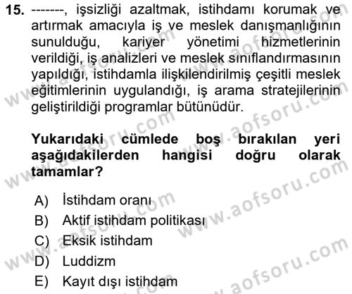 Ekonominin Güncel Sorunları Dersi 2023 - 2024 Yılı (Final) Dönem Sonu Sınav Soruları 15. Soru