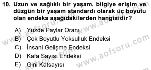 Ekonominin Güncel Sorunları Dersi 2023 - 2024 Yılı Yaz Okulu Sınav Soruları 10. Soru