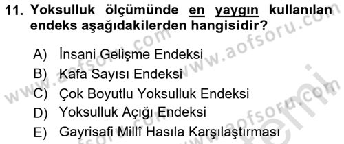 Ekonominin Güncel Sorunları Dersi 2023 - 2024 Yılı Yaz Okulu Sınav Soruları 11. Soru