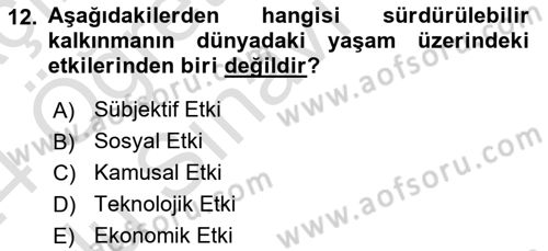 Ekonominin Güncel Sorunları Dersi 2023 - 2024 Yılı Yaz Okulu Sınav Soruları 12. Soru