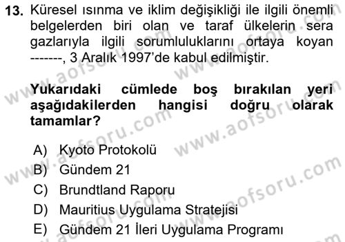 Ekonominin Güncel Sorunları Dersi 2023 - 2024 Yılı Yaz Okulu Sınav Soruları 13. Soru