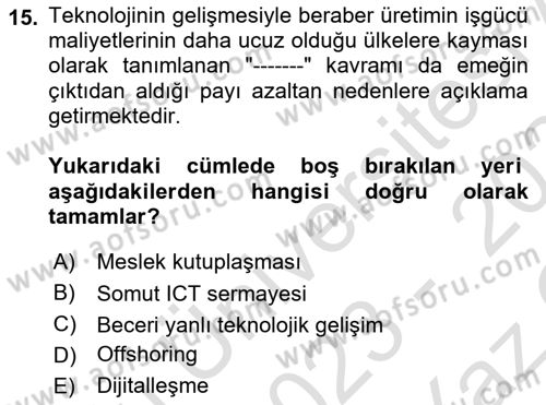 Ekonominin Güncel Sorunları Dersi 2023 - 2024 Yılı Yaz Okulu Sınav Soruları 15. Soru