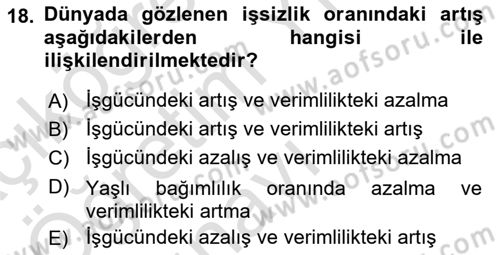 Ekonominin Güncel Sorunları Dersi 2023 - 2024 Yılı Yaz Okulu Sınav Soruları 18. Soru