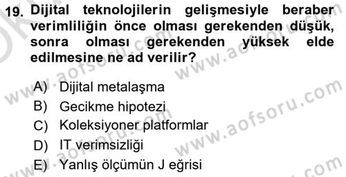 Ekonominin Güncel Sorunları Dersi 2023 - 2024 Yılı Yaz Okulu Sınav Soruları 19. Soru
