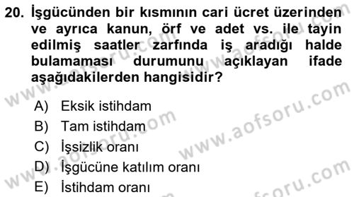 Ekonominin Güncel Sorunları Dersi 2023 - 2024 Yılı Yaz Okulu Sınav Soruları 20. Soru