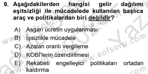 Ekonominin Güncel Sorunları Dersi 2023 - 2024 Yılı Yaz Okulu Sınav Soruları 9. Soru