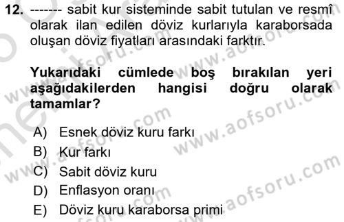 Ekonominin Güncel Sorunları Dersi 2024 - 2025 Yılı (Vize) Ara Sınav Soruları 12. Soru