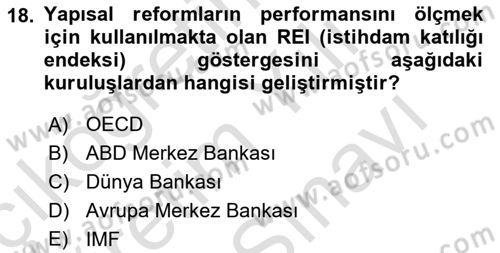 Ekonominin Güncel Sorunları Dersi 2024 - 2025 Yılı (Vize) Ara Sınav Soruları 18. Soru
