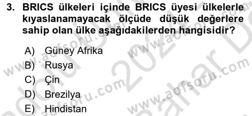 Ekonominin Güncel Sorunları Dersi 2024 - 2025 Yılı (Vize) Ara Sınav Soruları 3. Soru