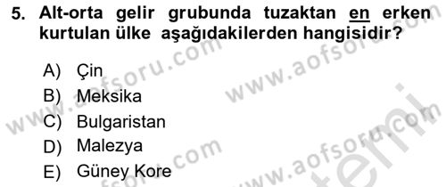 Ekonominin Güncel Sorunları Dersi 2024 - 2025 Yılı (Vize) Ara Sınav Soruları 5. Soru