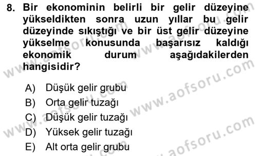 Ekonominin Güncel Sorunları Dersi 2024 - 2025 Yılı (Vize) Ara Sınav Soruları 8. Soru