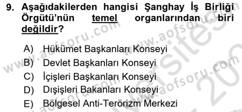 Ekonominin Güncel Sorunları Dersi 2024 - 2025 Yılı (Vize) Ara Sınav Soruları 9. Soru