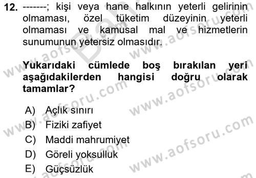 Ekonominin Güncel Sorunları Dersi 2024 - 2025 Yılı (Final) Dönem Sonu Sınav Soruları 12. Soru