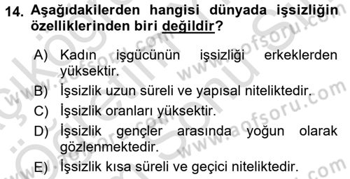 Ekonominin Güncel Sorunları Dersi 2024 - 2025 Yılı (Final) Dönem Sonu Sınav Soruları 14. Soru