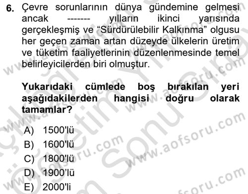 Ekonominin Güncel Sorunları Dersi 2024 - 2025 Yılı (Final) Dönem Sonu Sınav Soruları 6. Soru