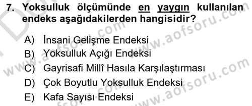 Ekonominin Güncel Sorunları Dersi 2024 - 2025 Yılı (Final) Dönem Sonu Sınav Soruları 7. Soru