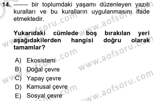 Ekonominin Güncel Sorunları Dersi 2024 - 2025 Yılı Yaz Okulu Sınav Soruları 14. Soru