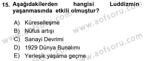 Ekonominin Güncel Sorunları Dersi 2024 - 2025 Yılı Yaz Okulu Sınav Soruları 15. Soru