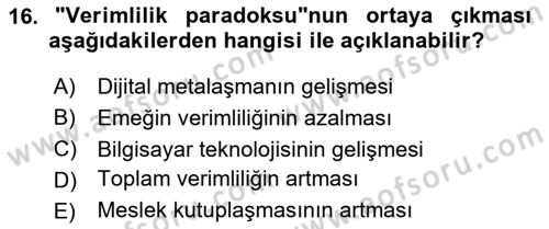 Ekonominin Güncel Sorunları Dersi 2024 - 2025 Yılı Yaz Okulu Sınav Soruları 16. Soru