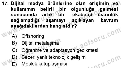 Ekonominin Güncel Sorunları Dersi 2024 - 2025 Yılı Yaz Okulu Sınav Soruları 17. Soru