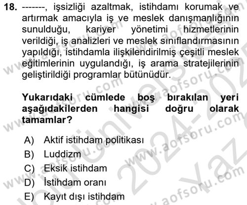 Ekonominin Güncel Sorunları Dersi 2024 - 2025 Yılı Yaz Okulu Sınav Soruları 18. Soru