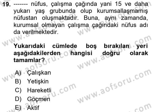 Ekonominin Güncel Sorunları Dersi 2024 - 2025 Yılı Yaz Okulu Sınav Soruları 19. Soru