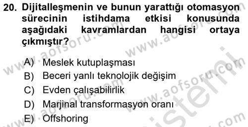 Ekonominin Güncel Sorunları Dersi 2024 - 2025 Yılı Yaz Okulu Sınav Soruları 20. Soru