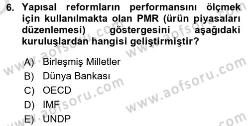 Ekonominin Güncel Sorunları Dersi 2024 - 2025 Yılı Yaz Okulu Sınav Soruları 6. Soru