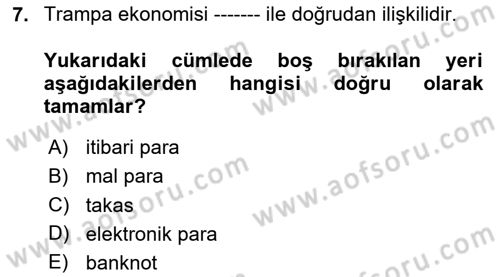 Ekonominin Güncel Sorunları Dersi 2024 - 2025 Yılı Yaz Okulu Sınav Soruları 7. Soru