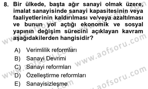 Ekonominin Güncel Sorunları Dersi 2024 - 2025 Yılı Yaz Okulu Sınav Soruları 8. Soru