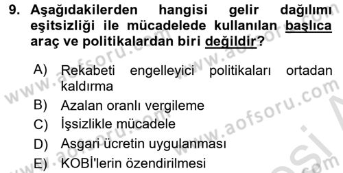 Ekonominin Güncel Sorunları Dersi 2024 - 2025 Yılı Yaz Okulu Sınav Soruları 9. Soru