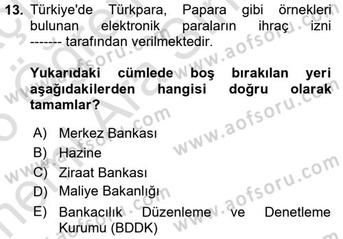 Ekonominin Güncel Sorunları Dersi 2025 - 2026 Yılı (Vize) Ara Sınav Soruları 13. Soru