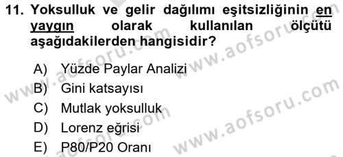 Ekonominin Güncel Sorunları Dersi 2025 - 2026 Yılı (Final) Dönem Sonu Sınav Soruları 11. Soru