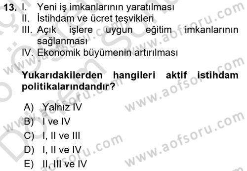 Ekonominin Güncel Sorunları Dersi 2025 - 2026 Yılı (Final) Dönem Sonu Sınav Soruları 13. Soru