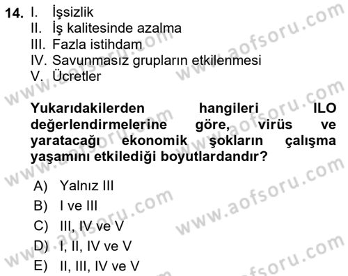 Ekonominin Güncel Sorunları Dersi 2025 - 2026 Yılı (Final) Dönem Sonu Sınav Soruları 14. Soru