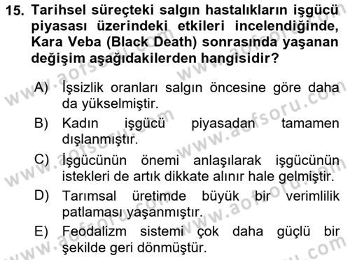 Ekonominin Güncel Sorunları Dersi 2025 - 2026 Yılı (Final) Dönem Sonu Sınav Soruları 15. Soru