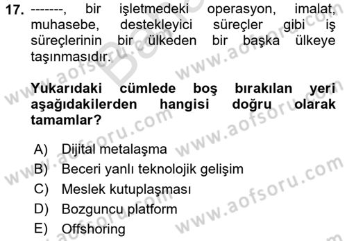 Ekonominin Güncel Sorunları Dersi 2025 - 2026 Yılı (Final) Dönem Sonu Sınav Soruları 17. Soru
