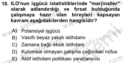Ekonominin Güncel Sorunları Dersi 2025 - 2026 Yılı (Final) Dönem Sonu Sınav Soruları 18. Soru