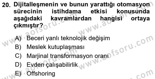 Ekonominin Güncel Sorunları Dersi 2025 - 2026 Yılı (Final) Dönem Sonu Sınav Soruları 20. Soru