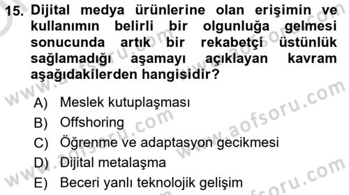 Ekonominin Güncel Sorunları Dersi 2025 - 2026 Yılı Yaz Okulu Sınav Soruları 15. Soru