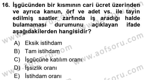 Ekonominin Güncel Sorunları Dersi 2025 - 2026 Yılı Yaz Okulu Sınav Soruları 16. Soru