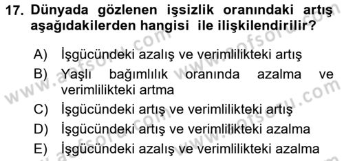 Ekonominin Güncel Sorunları Dersi 2025 - 2026 Yılı Yaz Okulu Sınav Soruları 17. Soru