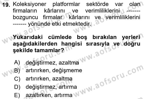 Ekonominin Güncel Sorunları Dersi 2025 - 2026 Yılı Yaz Okulu Sınav Soruları 19. Soru