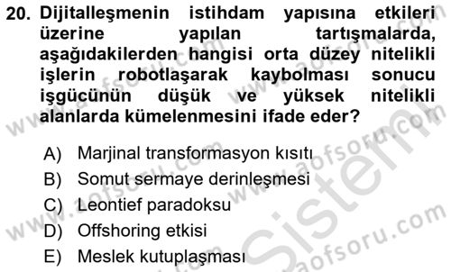 Ekonominin Güncel Sorunları Dersi 2025 - 2026 Yılı Yaz Okulu Sınav Soruları 20. Soru