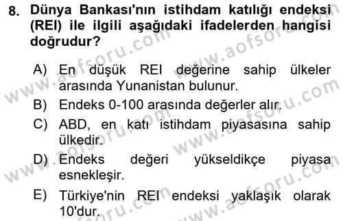 Ekonominin Güncel Sorunları Dersi 2025 - 2026 Yılı Yaz Okulu Sınav Soruları 8. Soru