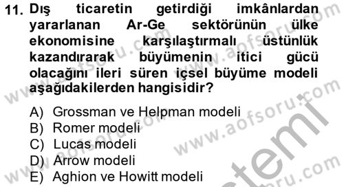 İktisadi Büyüme Dersi 2012 - 2013 Yılı (Final) Dönem Sonu Sınav Soruları 11. Soru