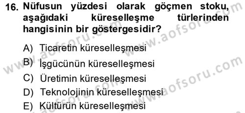 İktisadi Büyüme Dersi 2013 - 2014 Yılı Tek Ders Sınavı 16. Soru