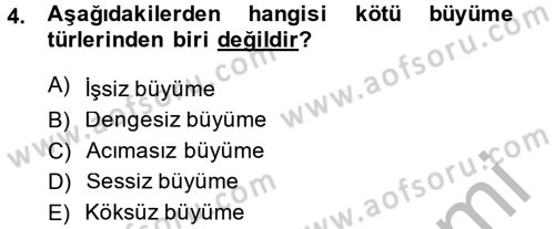 İktisadi Büyüme Dersi 2014 - 2015 Yılı (Vize) Ara Sınavı 4. Soru