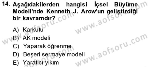 İktisadi Büyüme Dersi 2014 - 2015 Yılı Tek Ders Sınav Soruları 14. Soru